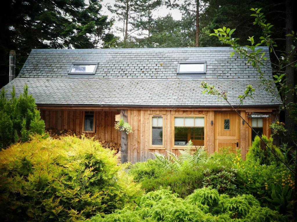 una casa in legno con tetto lucido di Wildcat Lodge a Boat of Garten