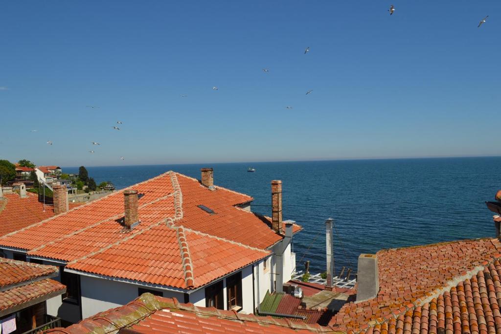 Příroda nedaleko hotelu