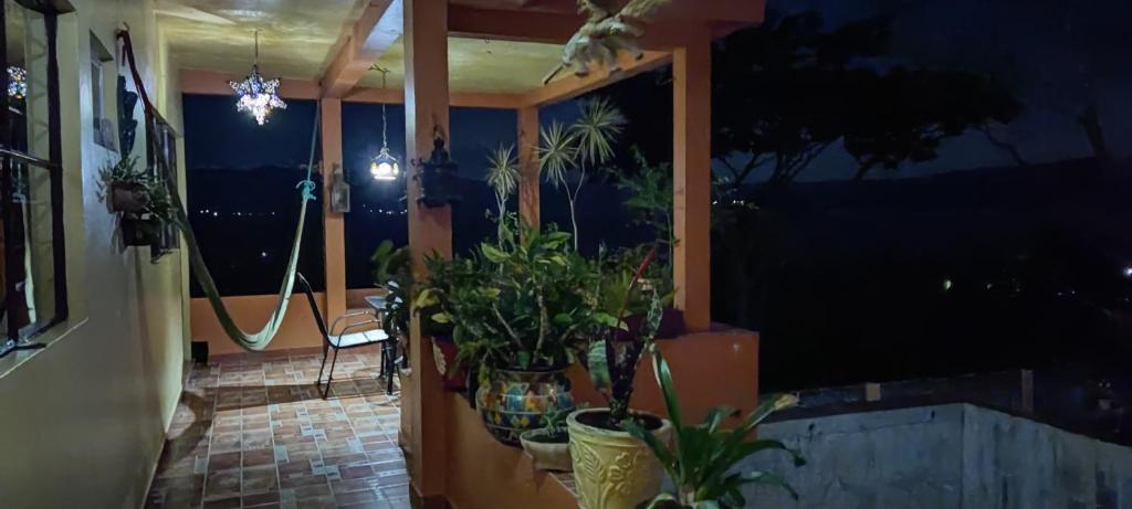 Zahrada ubytování Posada Los Chaneques Catemaco