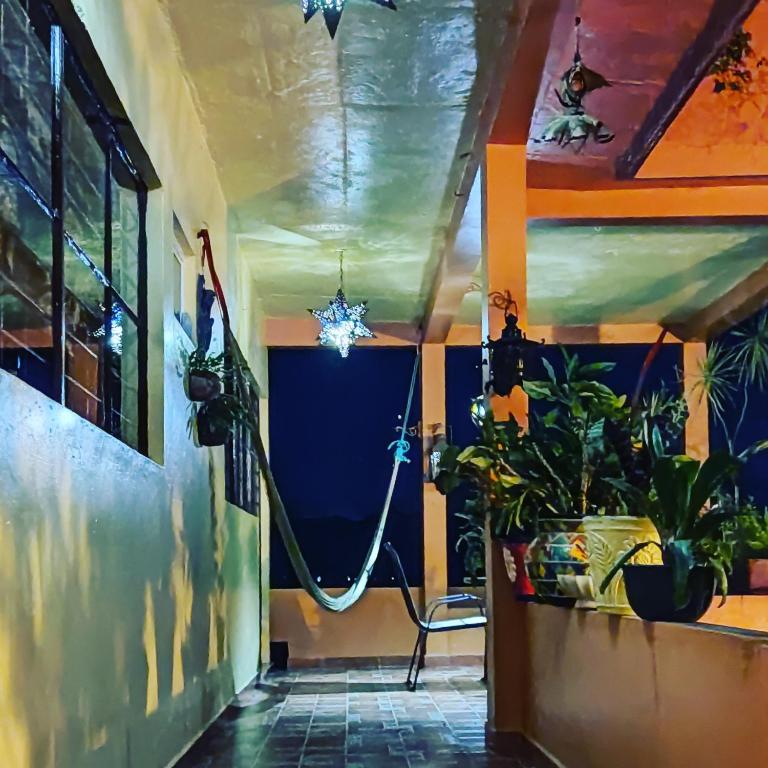 Fotografie z fotogalerie ubytování Posada Los Chaneques Catemaco v destinaci Catemaco