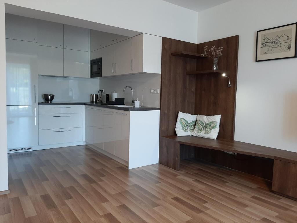 Kuchyň nebo kuchyňský kout v ubytování Apartmán Studnice