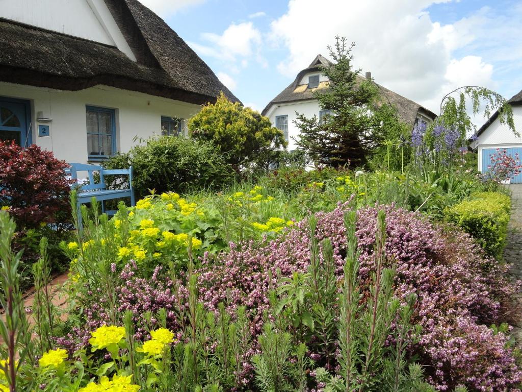 Zahrada ubytování Landhotel Kastanienallee Putbus