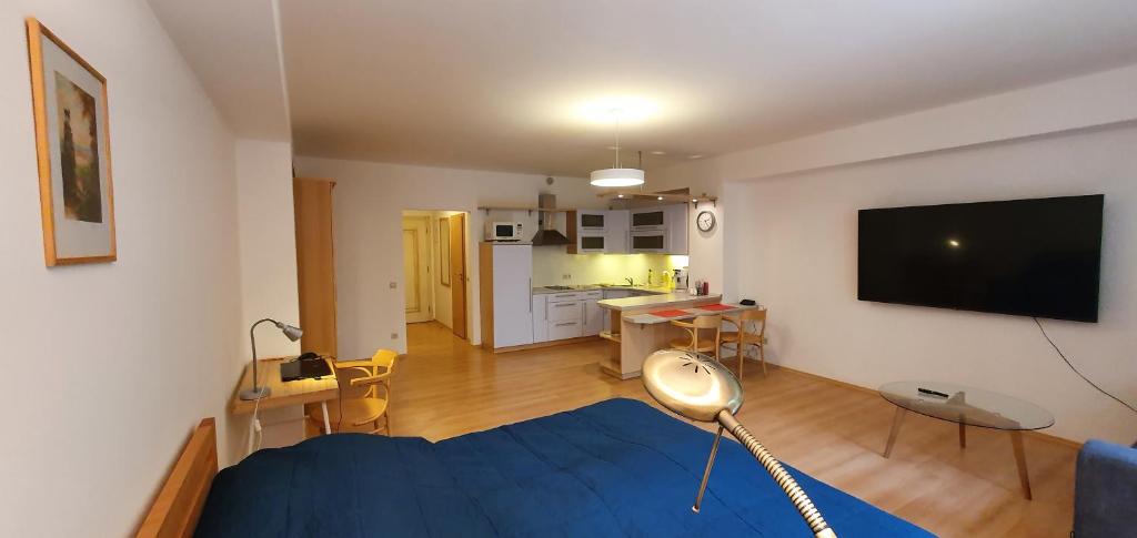 Kuchyň nebo kuchyňský kout v ubytování Apartmán 46m2 s balkonem v lázeňském centru