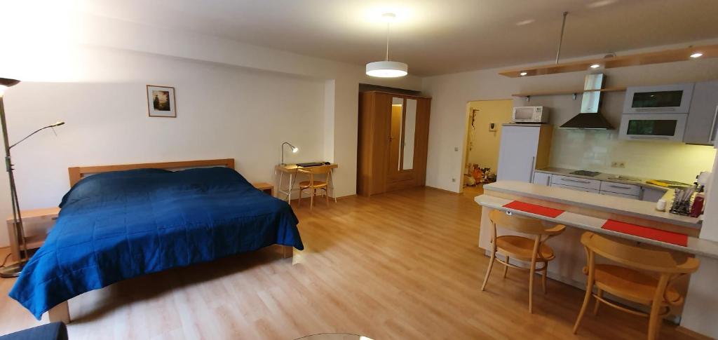Kuchyň nebo kuchyňský kout v ubytování Apartmán 46m2 s balkonem v lázeňském centru