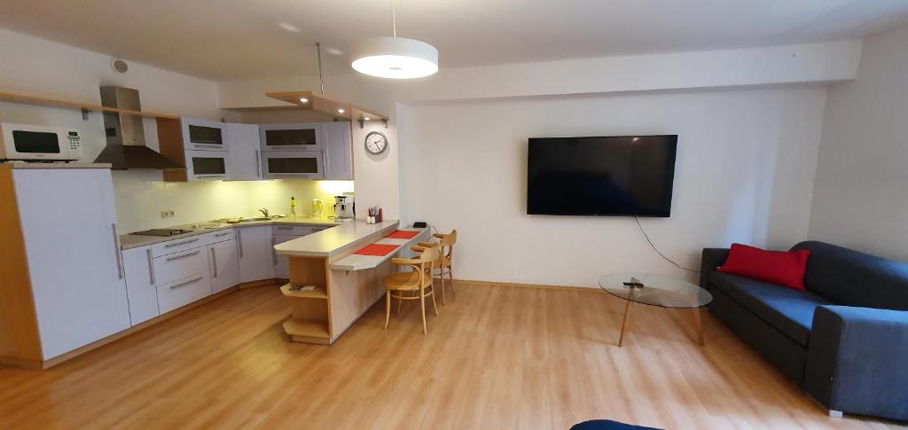 Kuchyň nebo kuchyňský kout v ubytování Apartmán 46m2 s balkonem v lázeňském centru