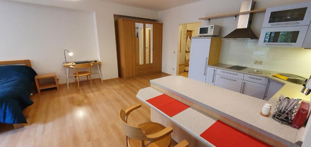 Kuchyň nebo kuchyňský kout v ubytování Apartmán 46m2 s balkonem v lázeňském centru