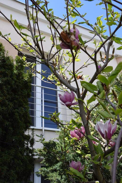 Hotel Boss - Resim 42