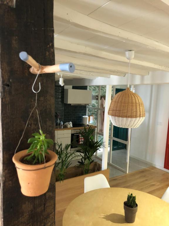 Kuchyň nebo kuchyňský kout v ubytování Apartamento Luscofusco