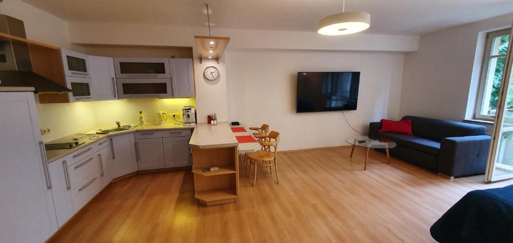 Kuchyň nebo kuchyňský kout v ubytování Apartmán 46m2 s balkonem v lázeňském centru