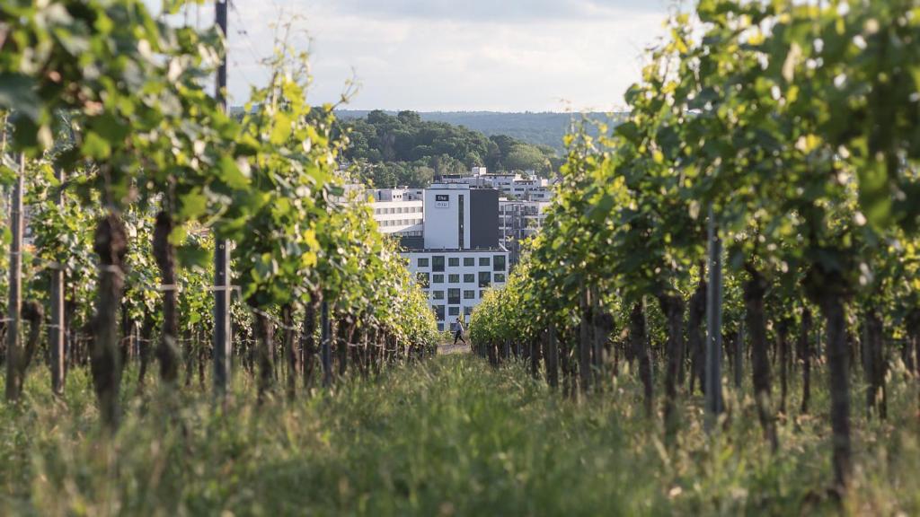 Holiday Inn - the niu, Form Stuttgart Feuerbach by IHG - Resim 6