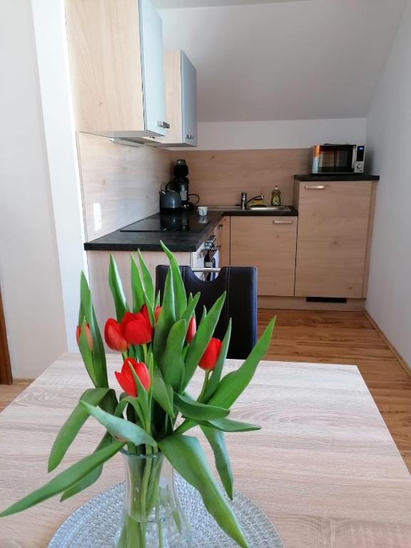 Kuchyňa alebo kuchynka v ubytovaní Apartment Bauer