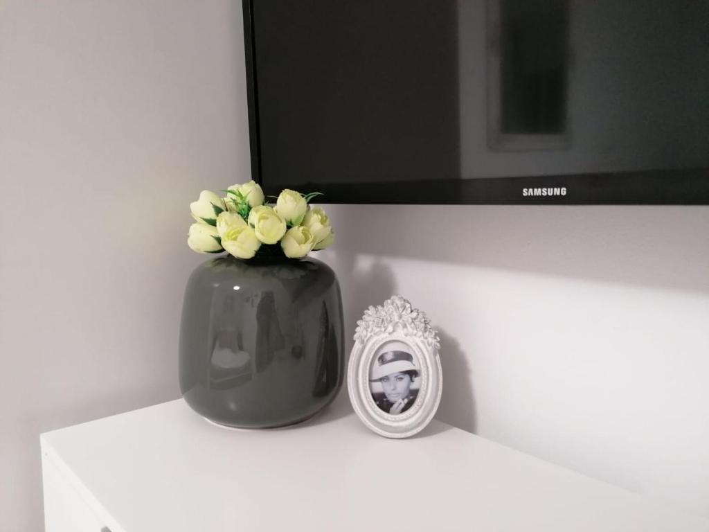 TV a/nebo společenská místnost v ubytování Alexandra House