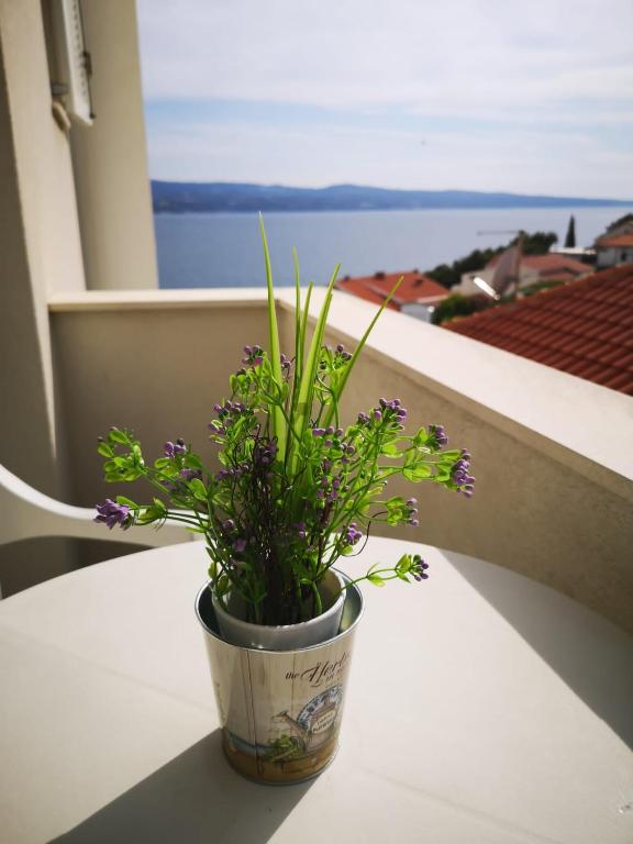 Nespecifikovaný výhled na moře nebo výhled na moře při pohledu z apartmánu