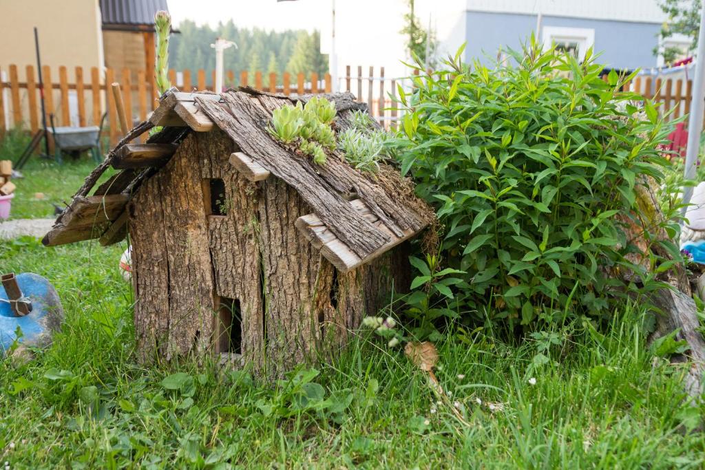 Zahrada ubytování Apartments Dedeic
