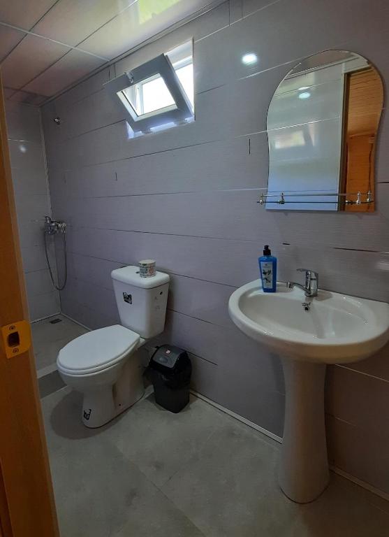 Koupelna v ubytování Guesthouse Pirimze