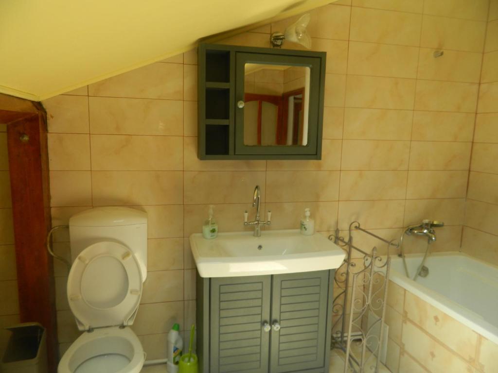 Koupelna v ubytování Casa Ligia