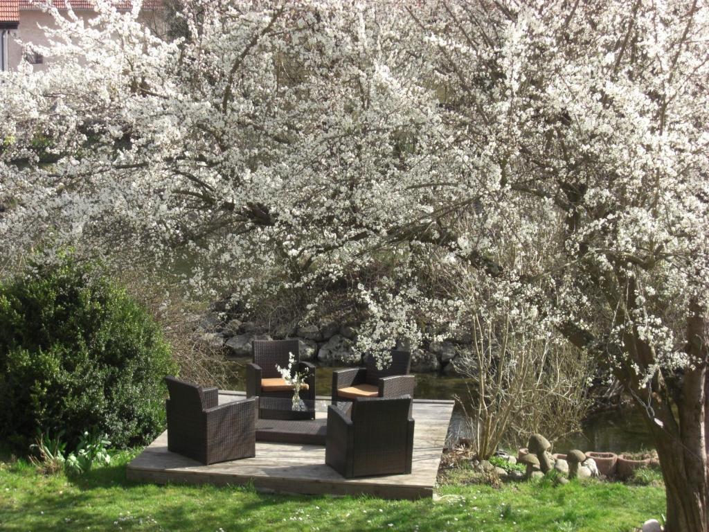 eine Gruppe von Stühlen unter einem Baum in der Unterkunft Unterkunft für Arbeiter und Monteure in Grafrath