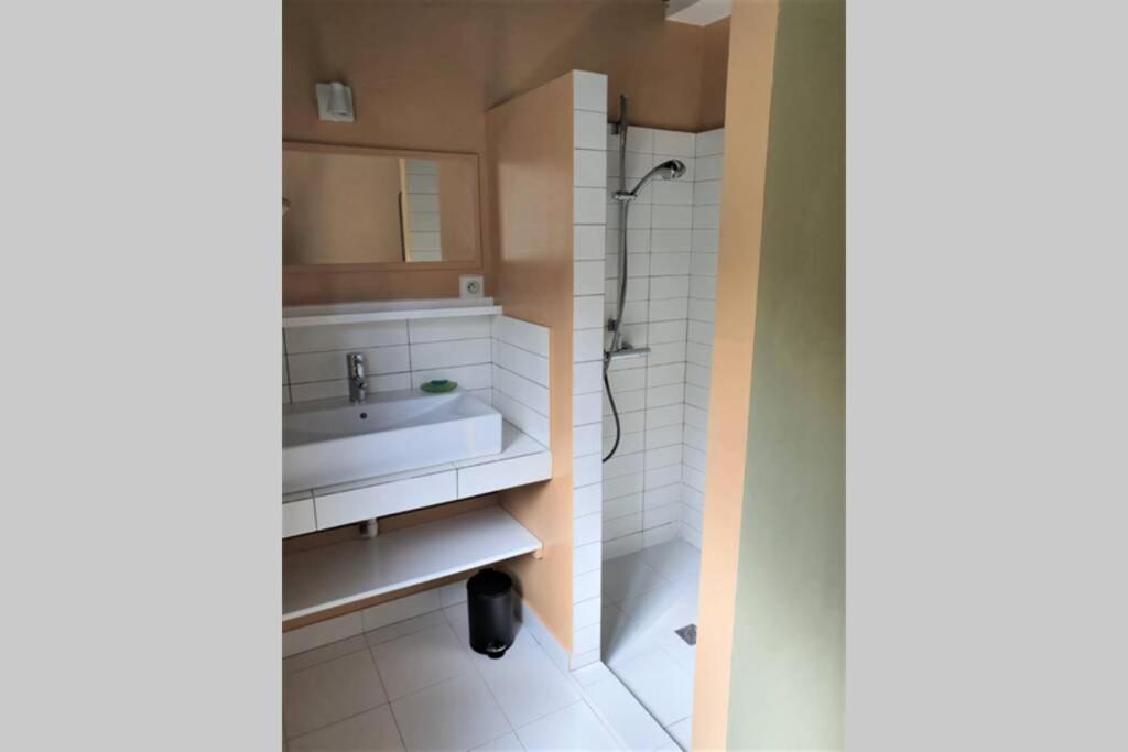 La salle de bains est pourvue d'un lavabo et d'une douche. dans l'établissement Maison exceptionnelle, Campagne a Paris, à Paris