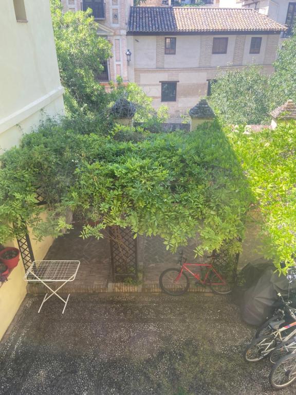 A garden outside Apartamento con zona chill-out y preciosas vistas