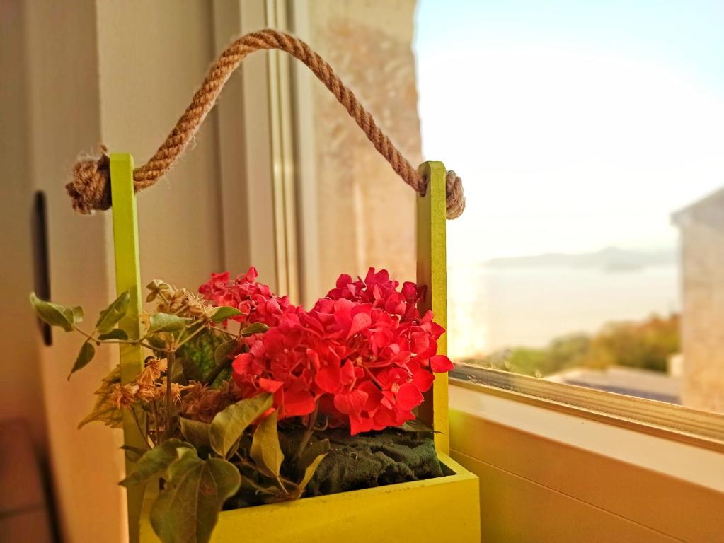 Almond Apartments - 14