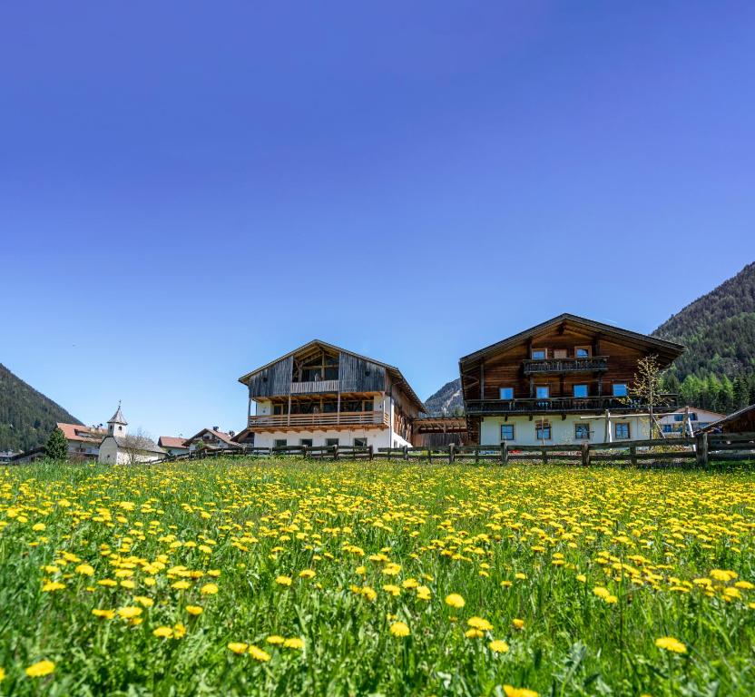 a field of yellow flowers in front of a building at Preindlerhof Haylofts in Valle Di Casies
