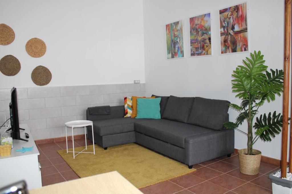 sala de estar con sofá gris y planta en LOFT PINOPE, en La Santa