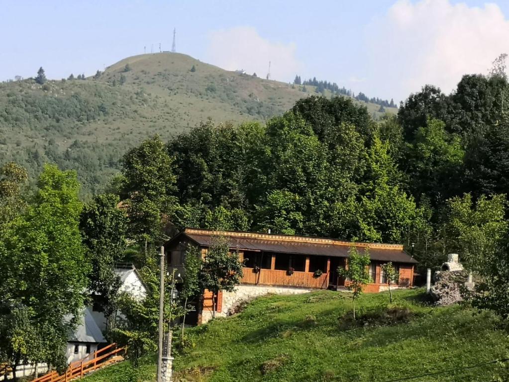 a house on a hill with a mountain in the background at Cabana Taul Brazilor in Roşia Montană