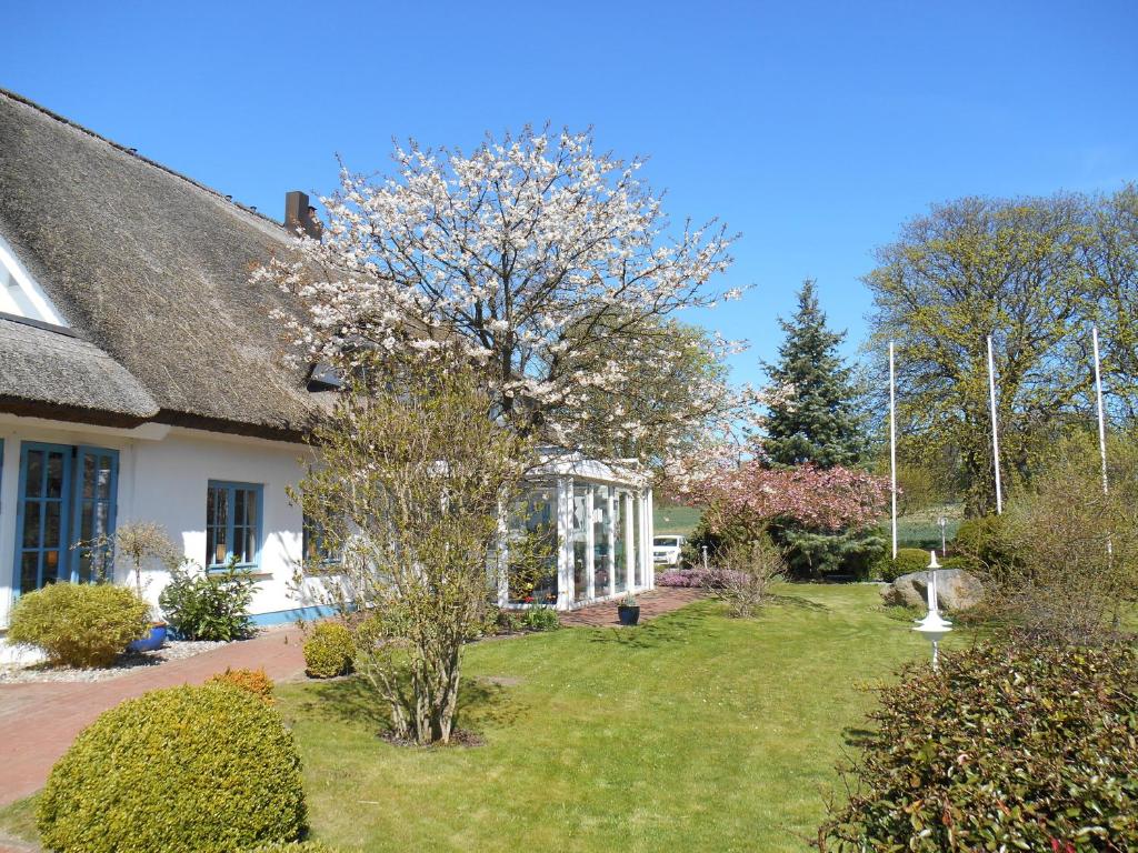 Zahrada ubytování Landhotel Kastanienallee Putbus