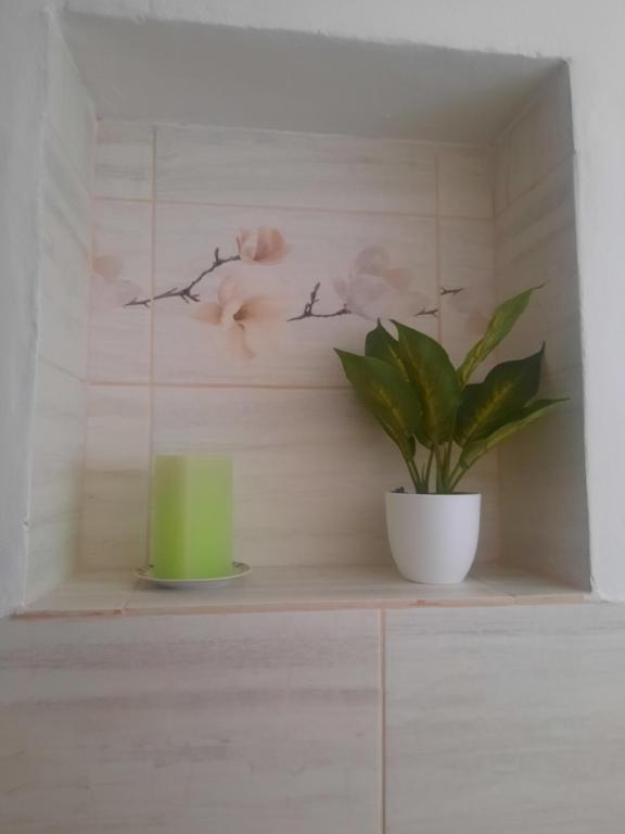 Fotografie z fotogalerie ubytování Apartmán Sandra ve Valticích