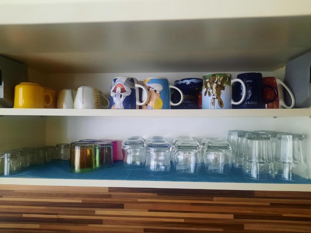 Kuchyň nebo kuchyňský kout v ubytování Apartmán Sandra