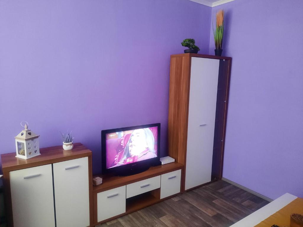 TV a/nebo společenská místnost v ubytování Apartmán Sandra