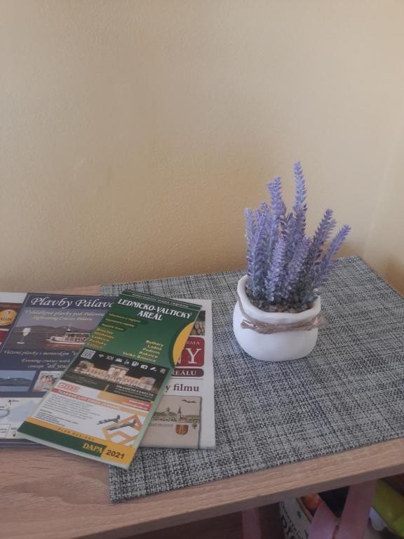 Fotografie z fotogalerie ubytování Apartmán Sandra ve Valticích