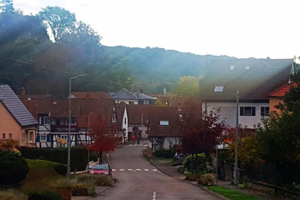 eine kleine Stadt mit Häusern und einer Straße in der Unterkunft petit studio pour une personne à Lobsann in Lobsann