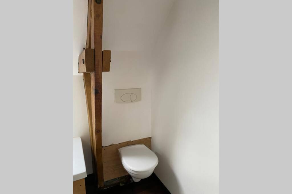 a bathroom with a white toilet in a room at Ancien Moulin rénové à neuf pour 20 personnes sur les rives du Trieux in Plésidy