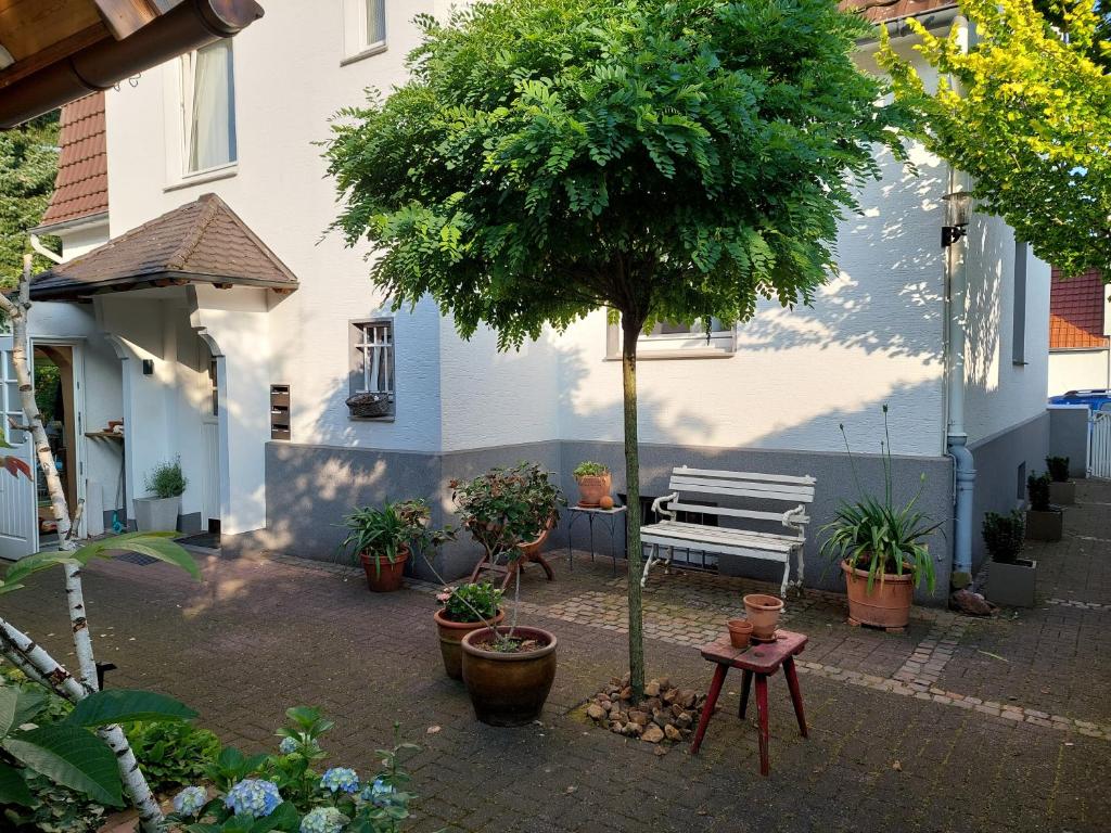 a garden with a bench and a tree in front of a house at Turmzimmer in Bielefeld