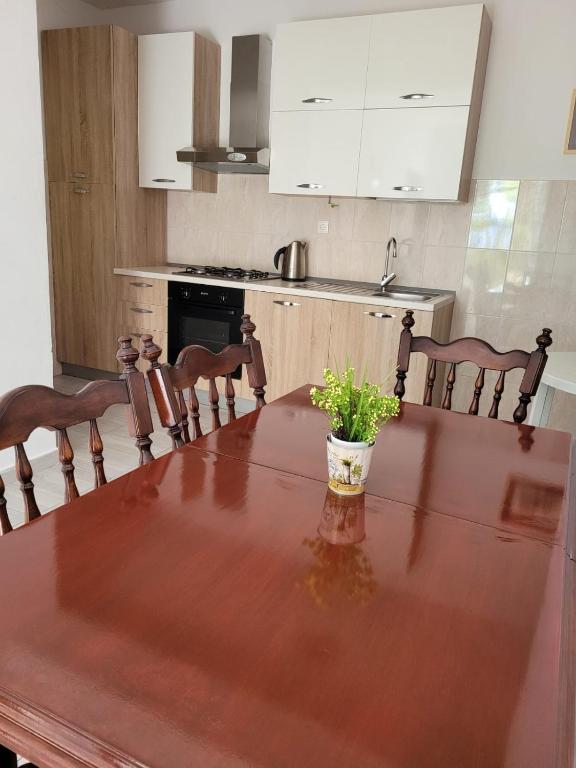 Kuchyň nebo kuchyňský kout v ubytování Anic Apartments Stanići