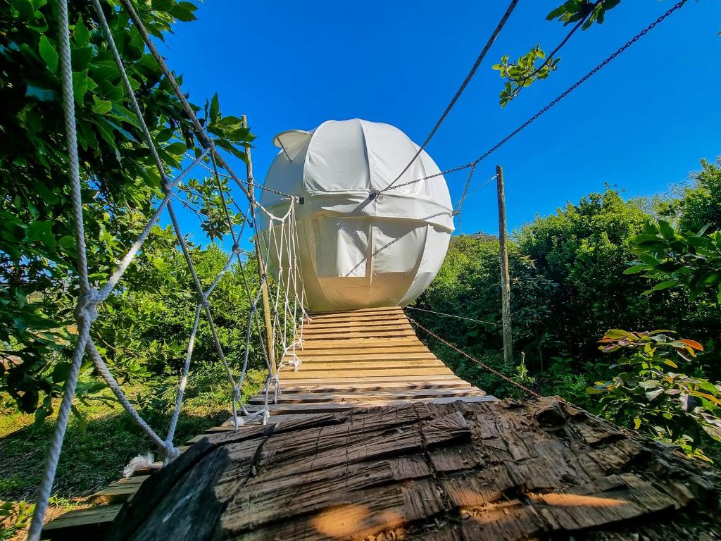 Fotografie z fotogalerie ubytování Quinta do Abacate - Glamping Park v destinaci Angra do Heroísmo