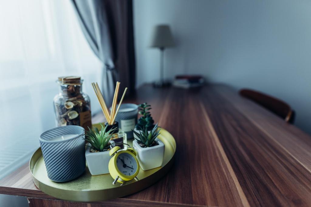 een blad met planten en een klok op een tafel bij Thome Hoia Studio 1Bedroom in Cluj-Napoca