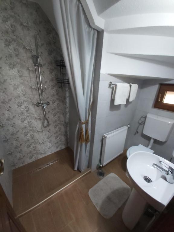 Un baño con inodoro, lavabo y ducha. en Pensiunea Sofy, en Arieşeni