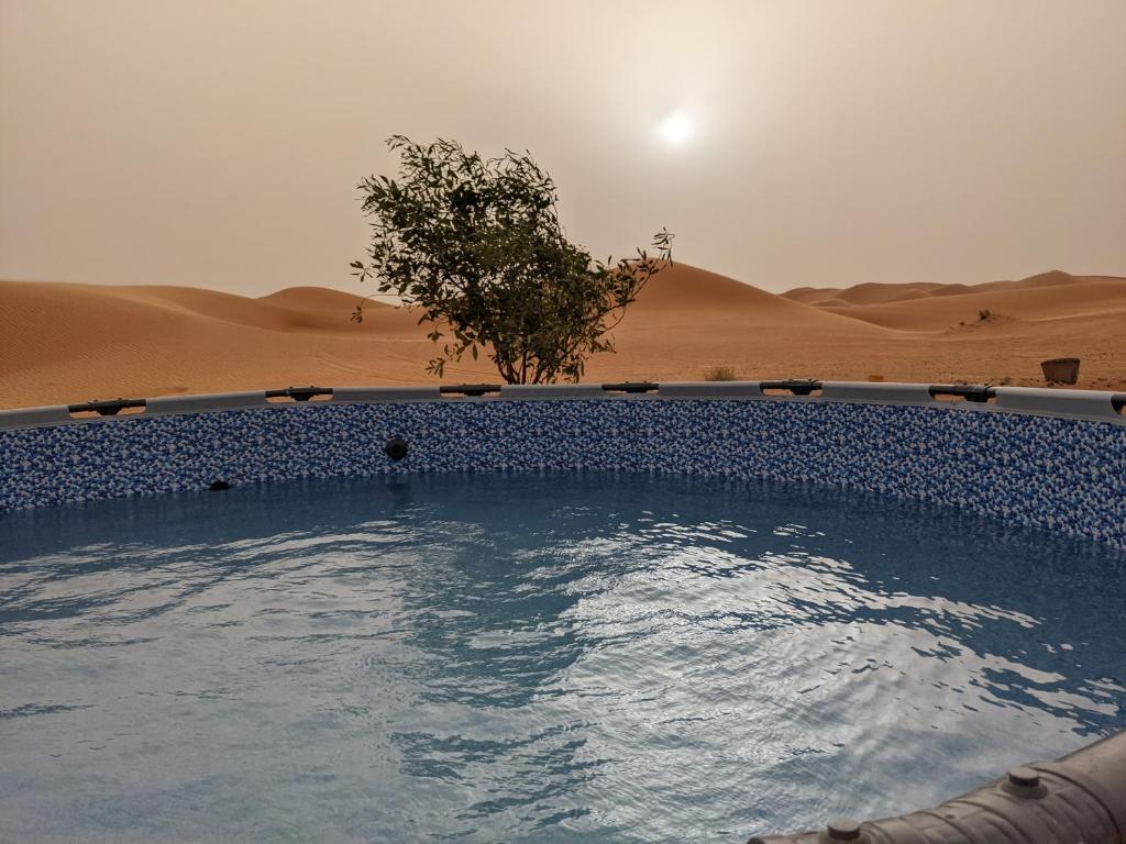 Bazén v ubytování Sahara Majestic Luxury Camp nebo v jeho okolí