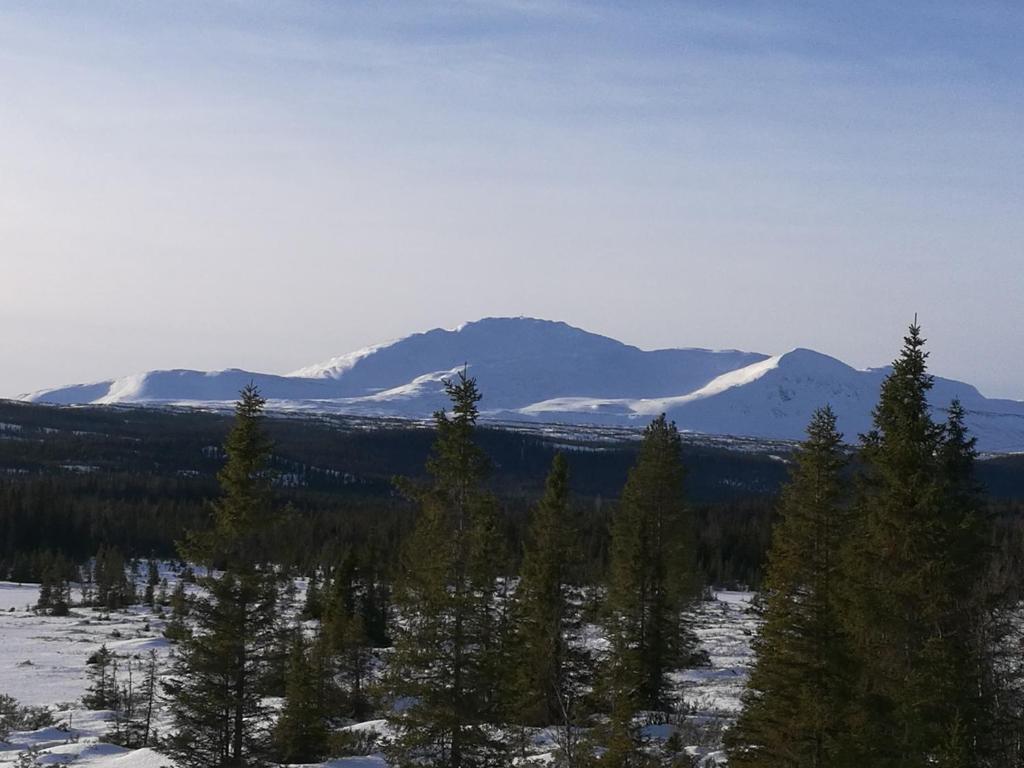 a snowy mountain range with trees and snow covered mountains at Fjällägenhet boende Huså Byskola in Huså