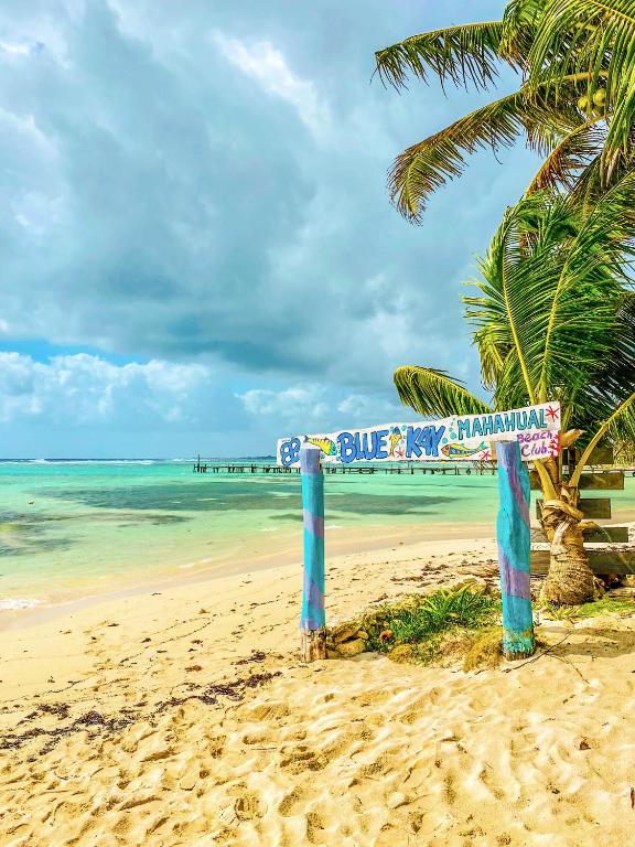 a street sign on a beach with a palm tree at Eco Cabañas Bluekay in Mahahual