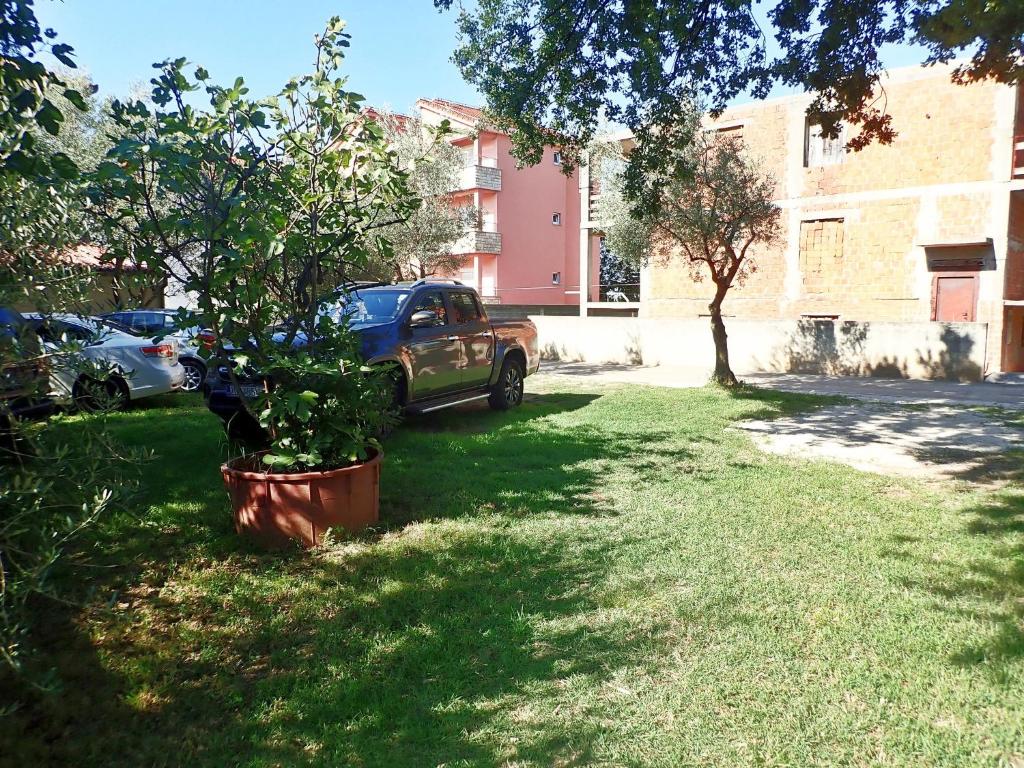 Fotografie z fotogalerie ubytování Apartment in Seline - Paklenica Riviera 41566 v destinaci Seline