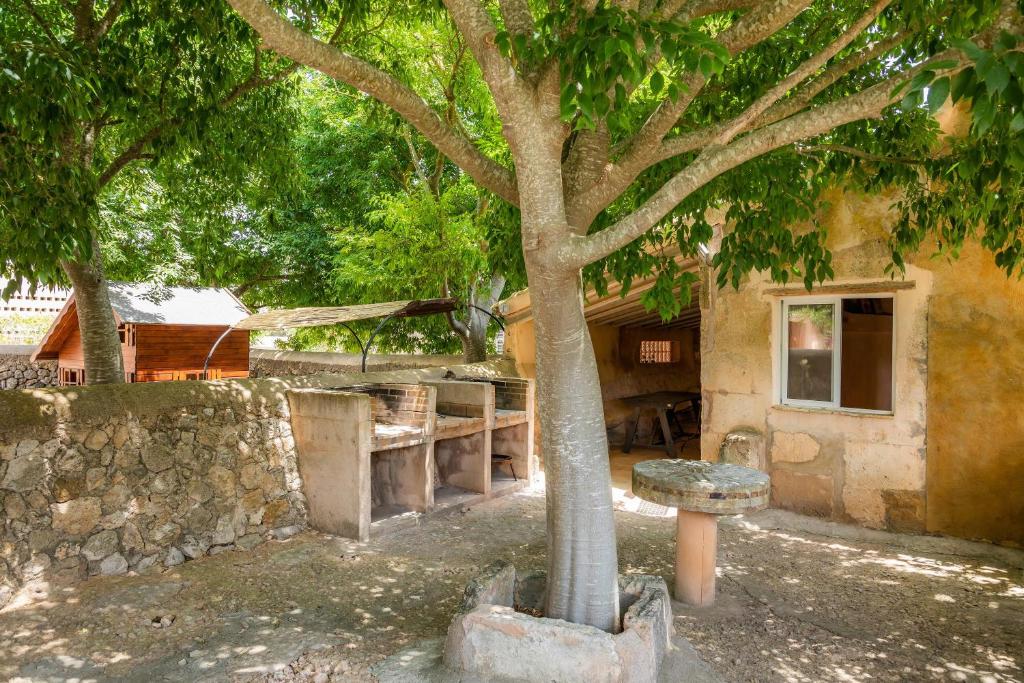 Fotografie z fotogalerie ubytování Es Rafalet - Sa Buhardilla Petita v destinaci Manacor