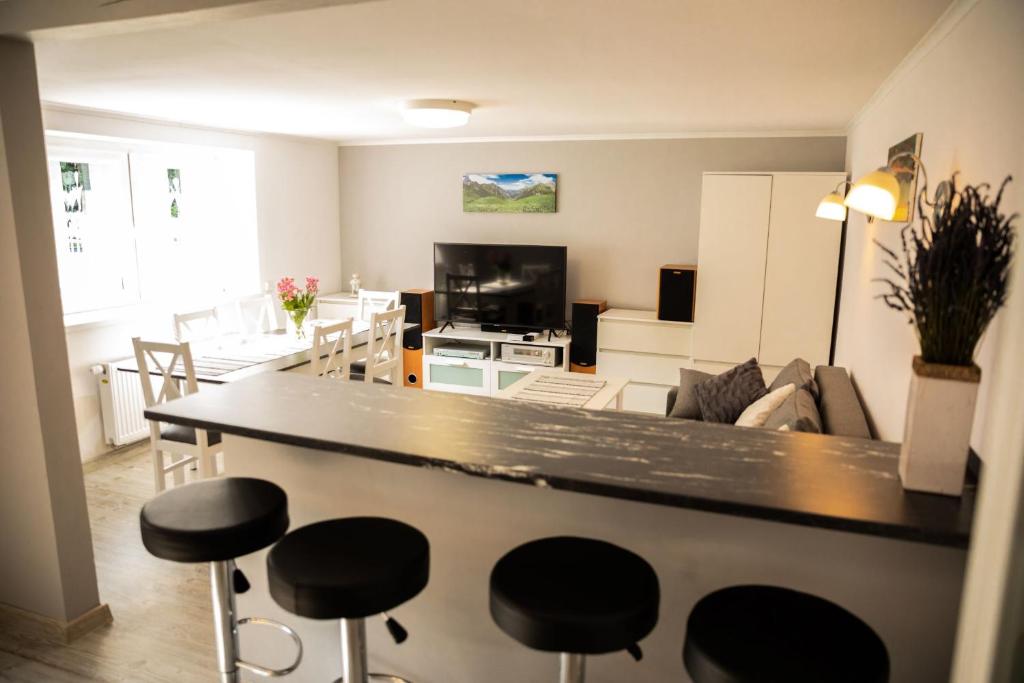 Televízia a/alebo spoločenská miestnosť v ubytovaní ENKLAWA NAD KWISĄ [APARTAMENT 2]