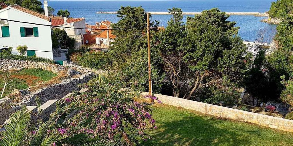 Fotografie z fotogalerie ubytování Apartment in Veli Losinj 36588 v destinaci Veli Lošinj