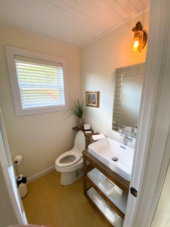 a bathroom with a white toilet and a sink at The Rooms at Woody Point in Bonne Bay