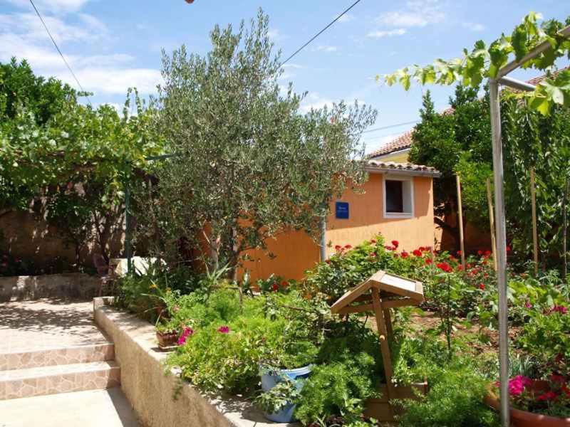 a garden in front of a house with flowers at Apartment in Veli Losinj 14933 in Veli Lošinj
