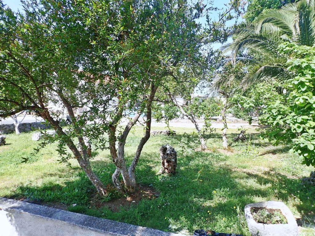 Fotografia z galérie ubytovania Apartment in Starigrad-Paklenica 34350 v destinácii Starigrad-Paklenica