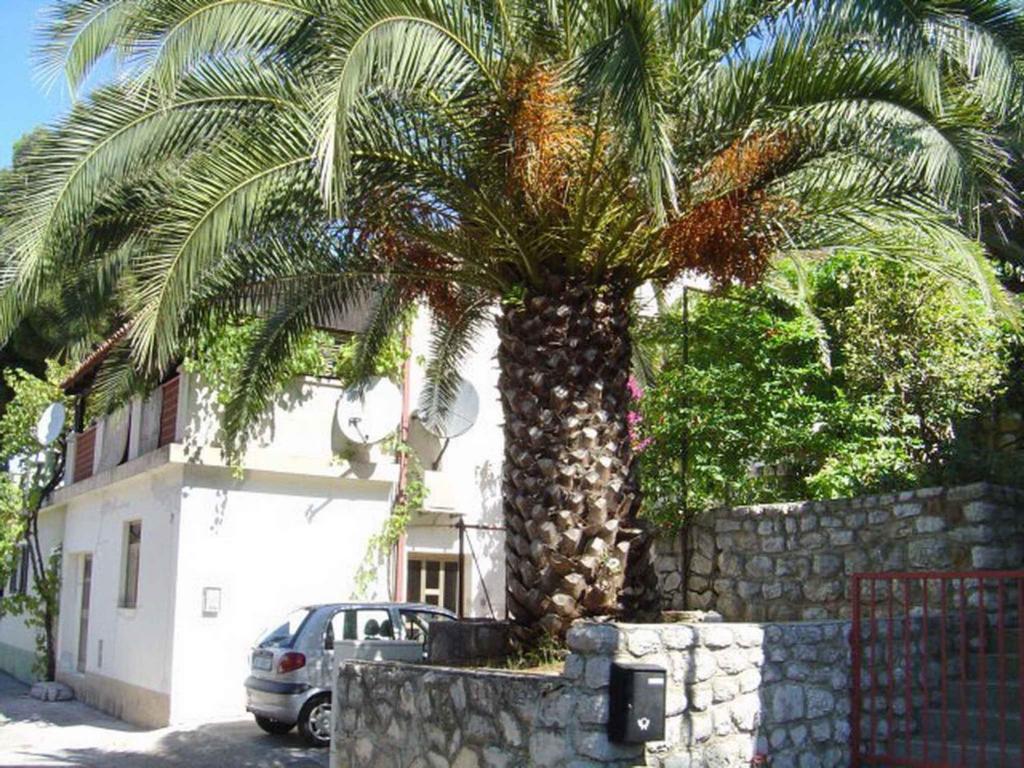 a palm tree in front of a building at Apartments in Mali Losinj 14951 in Mali Lošinj